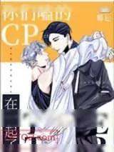 《你们嗑的cp在一起了》小说封面