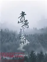 《青山看我应如是》小说封面
