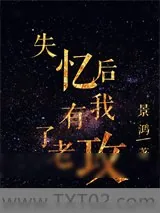 《失忆后我有了老攻》小说封面