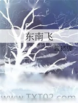 《东南飞》小说封面