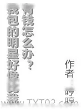 《我包的明星好像比我有钱怎么办》小说封面