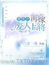 《重生之再嫁末路上将》小说封面