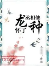 《丞相他怀了龙种》小说封面