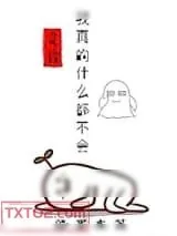 《我真的什么都不会》小说封面