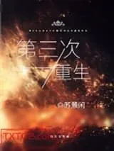 《第三次重生》小说封面