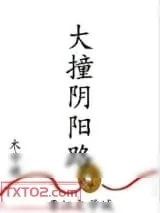 《大撞阴阳路》小说封面