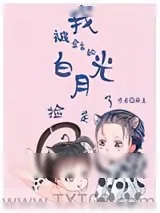 《我被金主的白月光捡走了》小说封面