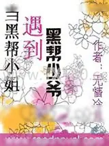 《当刁蛮小姐遇到冷酷少爷》小说封面