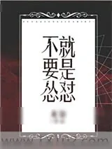 《不要怂，就是怼》小说封面