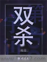 《双杀》小说封面