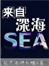 《来自深海》小说封面