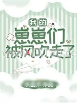 《我的崽崽们被风吹走了》小说封面