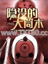 《隐没的大筒木》小说封面