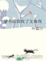 《穿书后我攻了主角攻》小说封面