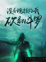 《没有魂技的我，砍翻斗罗》小说封面
