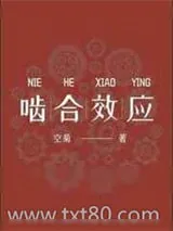 《啮合效应》小说封面