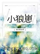 《小狼崽》小说封面