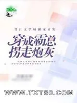 《穿成霸总拐走炮灰》小说封面