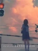 《合法火种》小说封面
