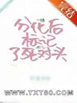 《标记了装A的Omega长官》小说封面