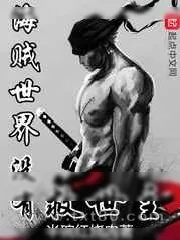 《海贼世界没有救世主》小说封面