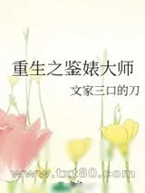 《重生之鉴婊大师》小说封面