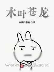 《木叶苍龙》小说封面