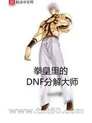 《拳皇里的DNF分解大师》小说封面
