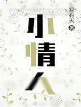 《小情人》小说封面