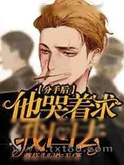《分手后他哭着求我回去》小说封面