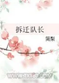 《拆迁队长》小说封面