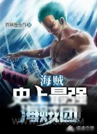 《海贼：史上最强海贼团》小说封面