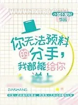 《你无法预料的分手，我都能给你送上》小说封面