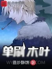 《单刷木叶》小说封面