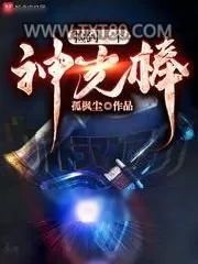 《捡到一个神光棒》小说封面