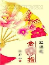 《红楼之金钢指》小说封面