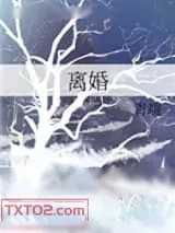《离婚（离婚ABO）》小说封面