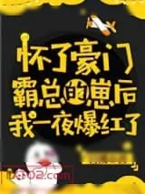 《怀了豪门霸总的崽后我一夜爆红了》小说封面