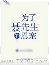 《为了聂先生的恩宠》小说封面