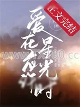 《爱在应许星光时》小说封面
