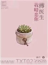 《傅医生我暗恋你》小说封面
