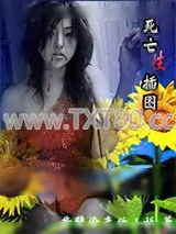 《死亡性插图》小说封面