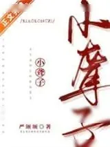 《小聋子受决定摆烂任宠》小说封面