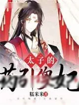 《太子的药引傻妃》小说封面