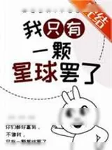 《我只有一颗星球罢了》小说封面