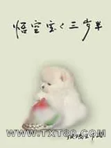 《[西游]悟空宝宝三岁半》小说封面