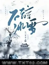 《不辞冰雪》小说封面