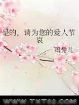 《是的，请为您的爱人节哀》小说封面
