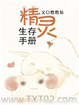《精灵生存手册》小说封面