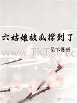 《六姑娘被瓜撑到了》小说封面